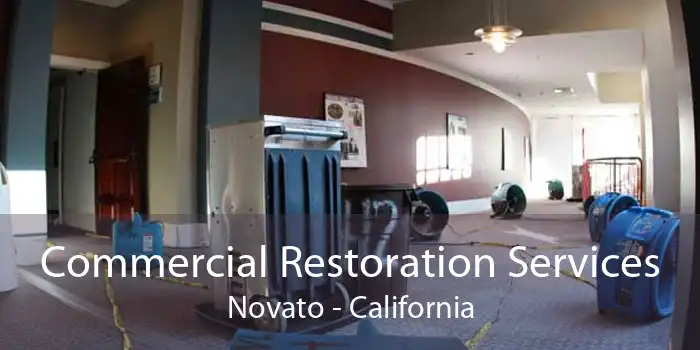 Commercial Restoration Services Novato - California