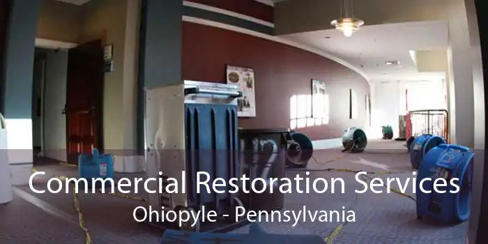 Commercial Restoration Services Ohiopyle - Pennsylvania