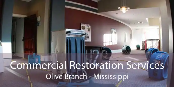 Commercial Restoration Services Olive Branch - Mississippi