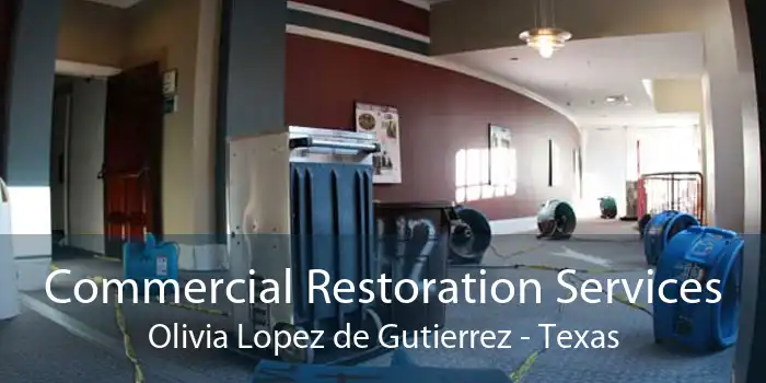 Commercial Restoration Services Olivia Lopez de Gutierrez - Texas