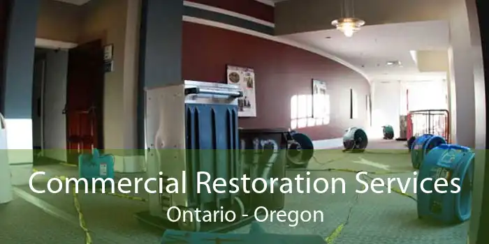 Commercial Restoration Services Ontario - Oregon
