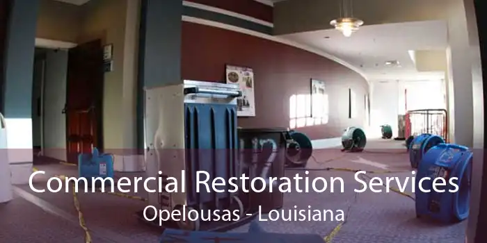 Commercial Restoration Services Opelousas - Louisiana