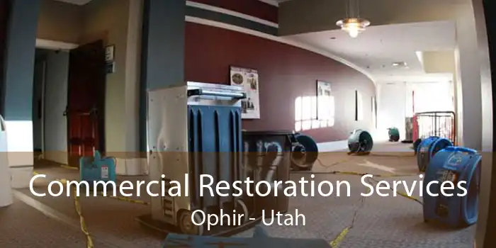 Commercial Restoration Services Ophir - Utah