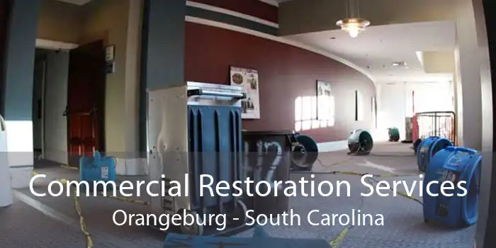 Commercial Restoration Services Orangeburg - South Carolina