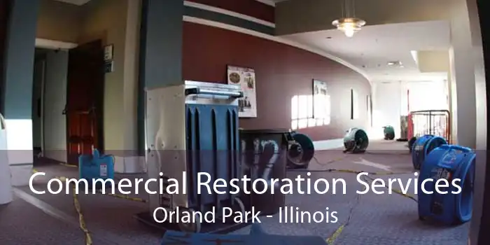 Commercial Restoration Services Orland Park - Illinois
