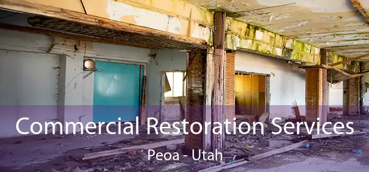 Commercial Restoration Services Peoa - Utah