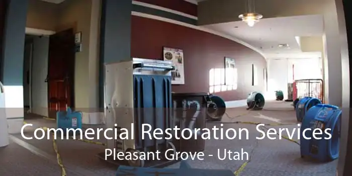 Commercial Restoration Services Pleasant Grove - Utah