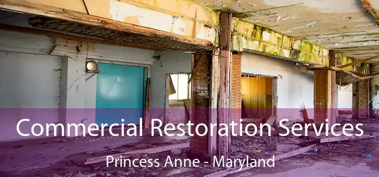 Commercial Restoration Services Princess Anne - Maryland