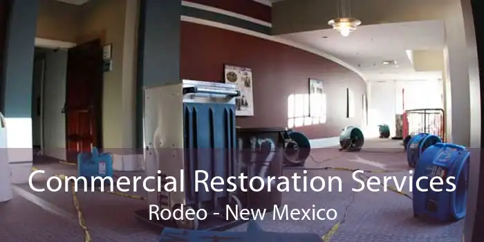 Commercial Restoration Services Rodeo - New Mexico