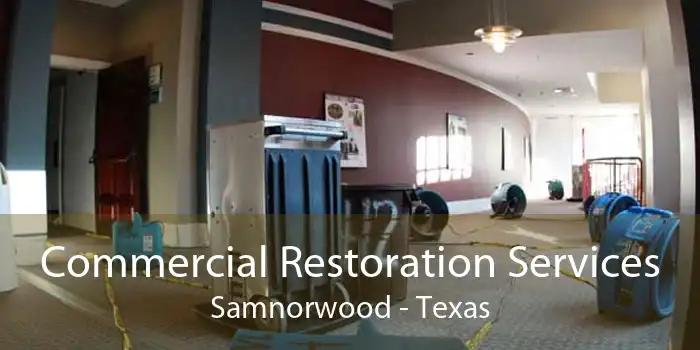 Commercial Restoration Services Samnorwood - Texas