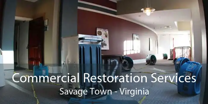 Commercial Restoration Services Savage Town - Virginia