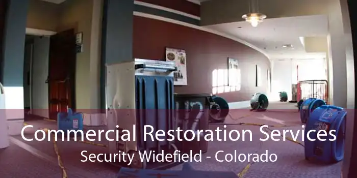 Commercial Restoration Services Security Widefield - Colorado