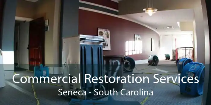 Commercial Restoration Services Seneca - South Carolina