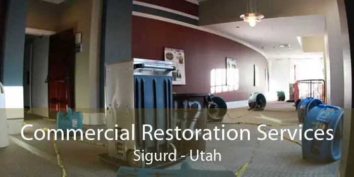 Commercial Restoration Services Sigurd - Utah