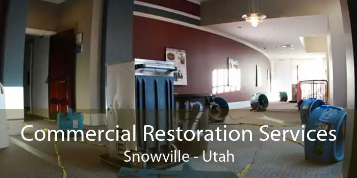 Commercial Restoration Services Snowville - Utah