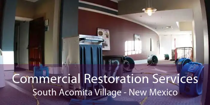 Commercial Restoration Services South Acomita Village - New Mexico