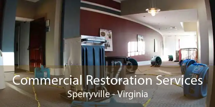 Commercial Restoration Services Sperryville - Virginia