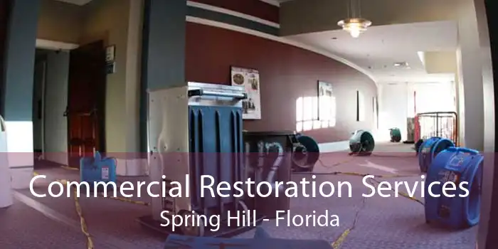 Commercial Restoration Services Spring Hill - Florida
