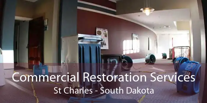 Commercial Restoration Services St Charles - South Dakota