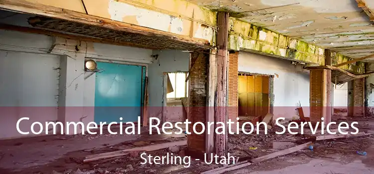 Commercial Restoration Services Sterling - Utah