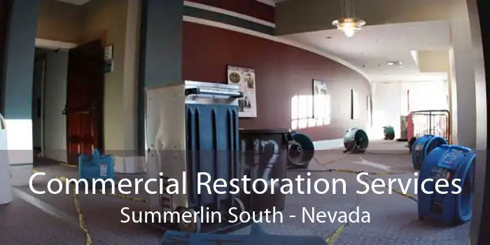 Commercial Restoration Services Summerlin South - Nevada