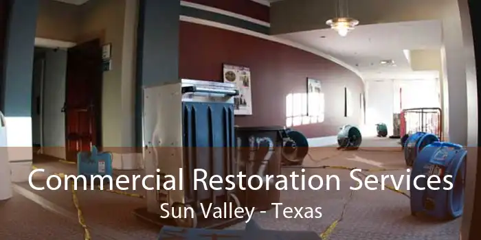 Commercial Restoration Services Sun Valley - Texas