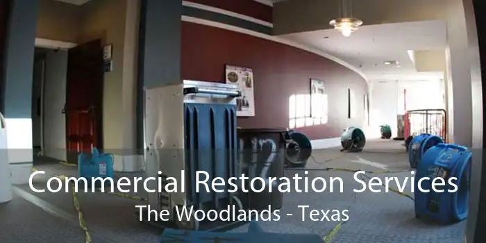 Commercial Restoration Services The Woodlands - Texas