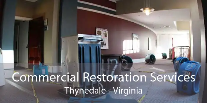 Commercial Restoration Services Thynedale - Virginia