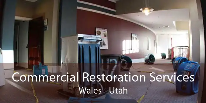 Commercial Restoration Services Wales - Utah