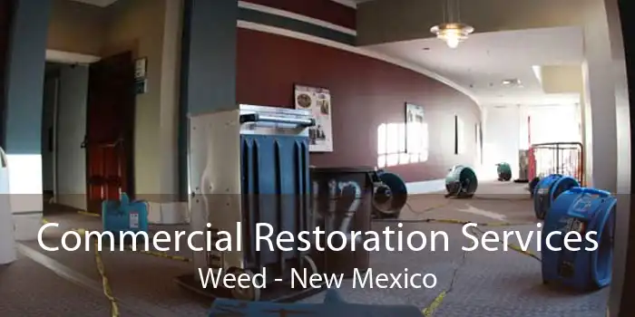 Commercial Restoration Services Weed - New Mexico