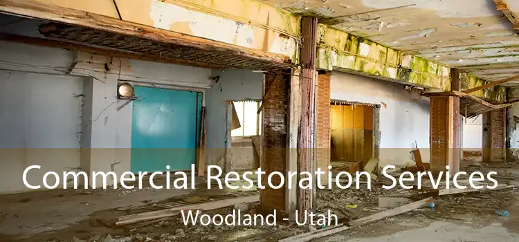 Commercial Restoration Services Woodland - Utah