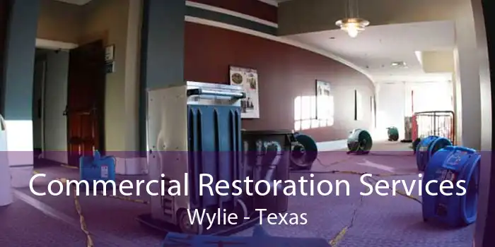 Commercial Restoration Services Wylie - Texas