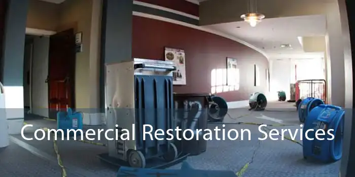 Commercial Restoration Services 