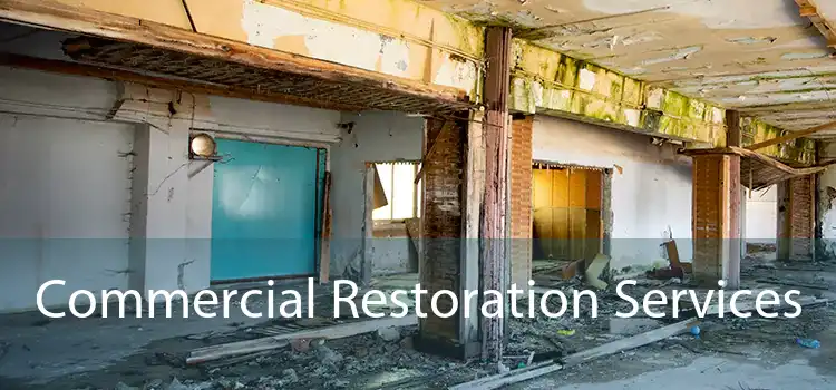 Commercial Restoration Services 