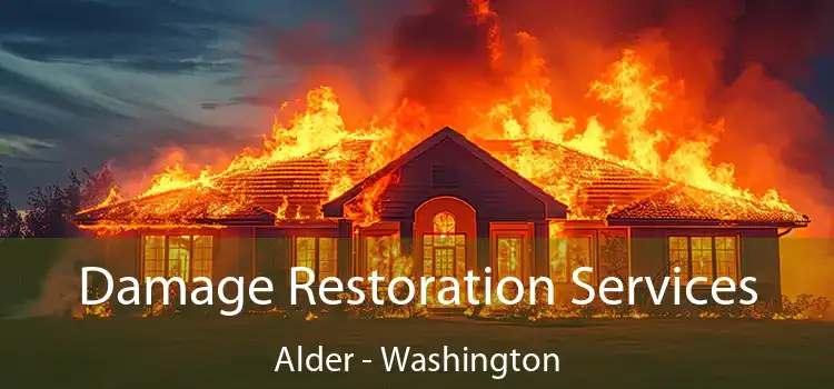 Damage Restoration Services Alder - Washington