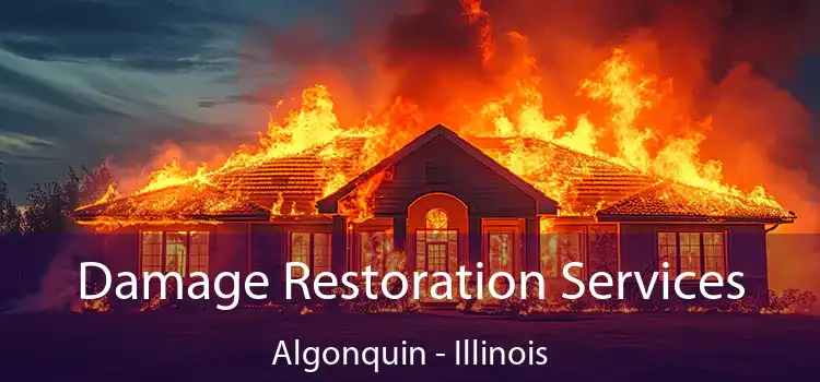 Damage Restoration Services Algonquin - Illinois