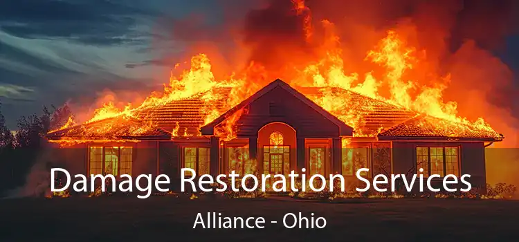 Damage Restoration Services Alliance - Ohio