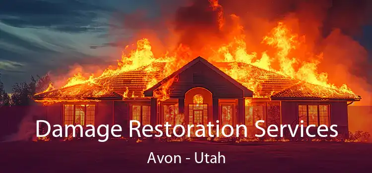 Damage Restoration Services Avon - Utah