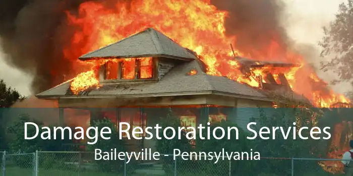 Damage Restoration Services Baileyville - Pennsylvania