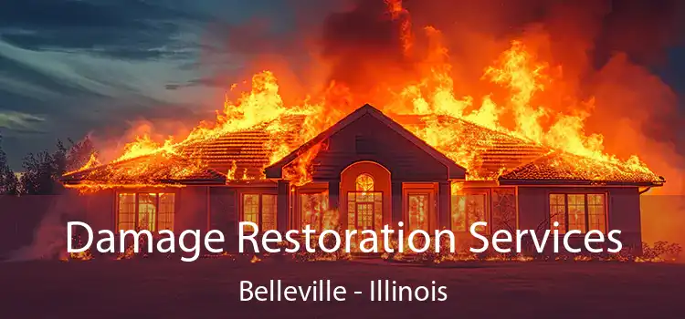 Damage Restoration Services Belleville - Illinois