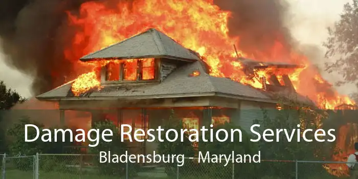 Damage Restoration Services Bladensburg - Maryland