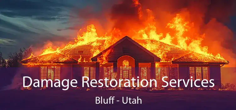 Damage Restoration Services Bluff - Utah