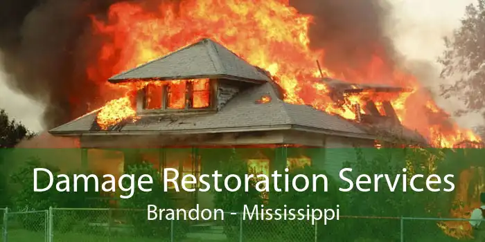 Damage Restoration Services Brandon - Mississippi