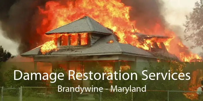 Damage Restoration Services Brandywine - Maryland