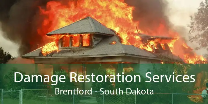 Damage Restoration Services Brentford - South Dakota
