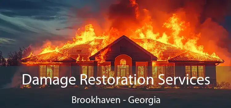 Damage Restoration Services Brookhaven - Georgia