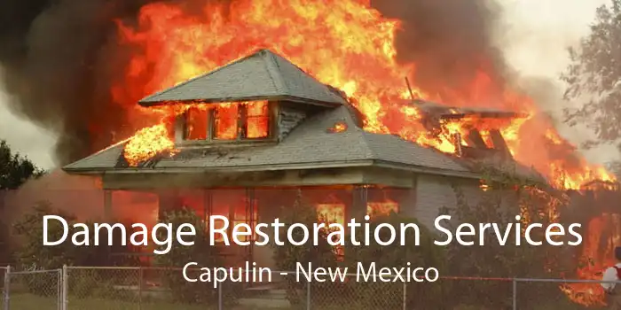 Damage Restoration Services Capulin - New Mexico