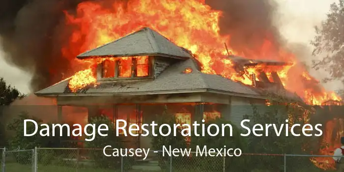 Damage Restoration Services Causey - New Mexico