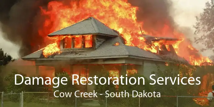 Damage Restoration Services Cow Creek - South Dakota