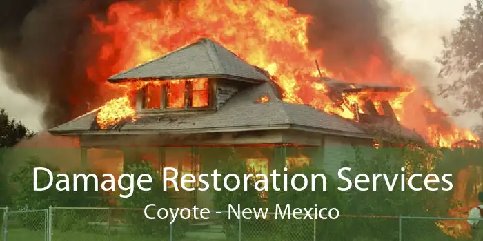 Damage Restoration Services Coyote - New Mexico